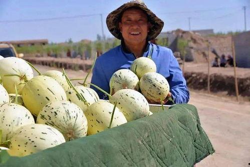 靖远吃瓜群众视频,揭秘当地生活百态