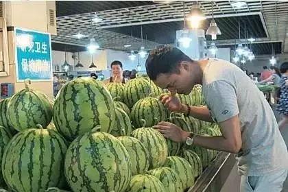 高级吃瓜,一场舌尖上的狂欢盛宴