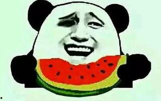 吃瓜群众直播平台,带你领略网络直播新风尚