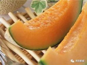 吃瓜吃到哈密瓜是什么意思,揭秘网络流行语的深层含义