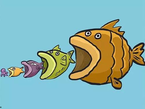 吃瓜少女小鱼仔,揭秘娱乐圈幕后故事