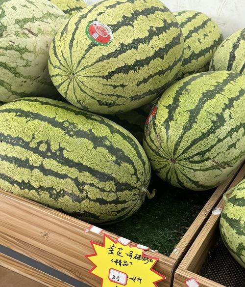 吃瓜还是吃宁夏西瓜,夏日消暑的甜蜜选择，吃瓜还是吃宁夏西瓜？