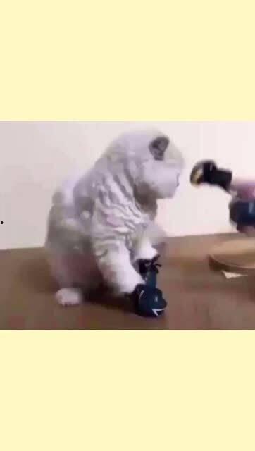 吃瓜容易挨揍吗,揭秘“吃瓜容易挨揍”背后的真相