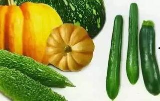 沈丹吃瓜,揭秘娱乐圈背后的那些事儿