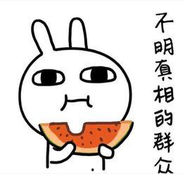 如何吃瓜不尴尬,如何优雅地参与网络热议不尴尬