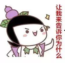 胖子吃瓜中了毒,揭秘瓜果安全与饮食健康