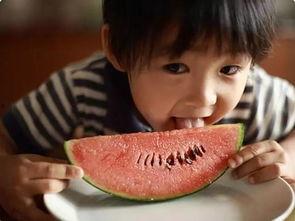 物酱吃瓜事件,揭秘网络舆论背后的真相与反思