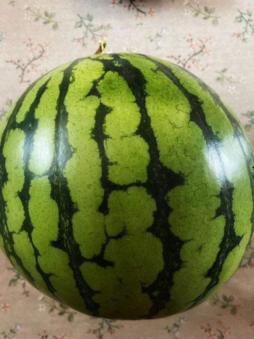 表演吃瓜,一场别开生面的表演吃瓜大赏