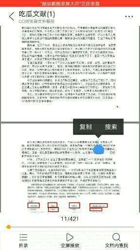 吃瓜文献421 pdf,揭秘背后故事与深层含义
