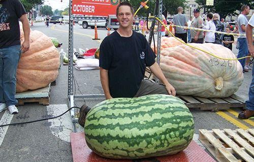 吃瓜吐烟,揭秘娱乐圈的幕后故事