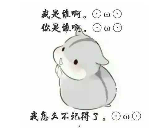 仓鼠吃瓜表情包,仓鼠吃瓜表情包的欢乐瞬间